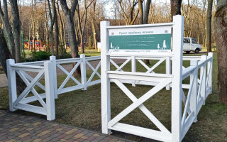 Куди здати ялинку у Києві: перелік пунктів прийому