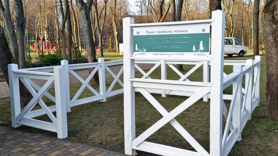 Куда сдать елку в Киеве: перечень пунктов приема
