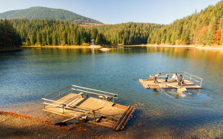 Кадастрового реєстратора із Закарпаття підозрюють у втраті 2,6 га земель нацпарку «Синевир»