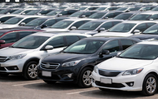 Імпортер авто на Волині відшкодував державі понад 4,5 млн грн несплачених податків