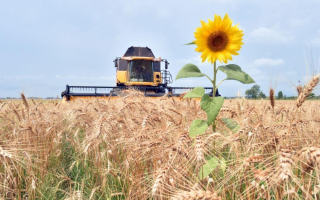 Україна переходить на аграрну підтримку за стандартами ЄС —  що зміниться