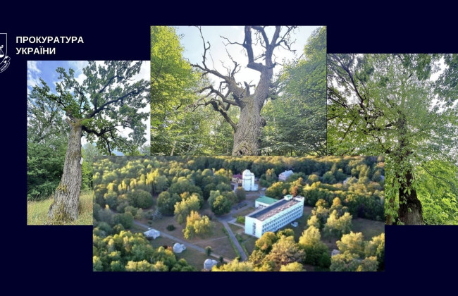 Спір навколо землі НАН у Голосіївському районі Києва: прокуратура оскаржує договір