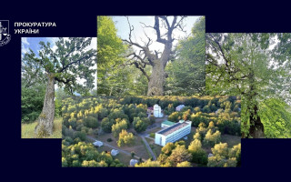 Спір навколо землі НАН у Голосіївському районі Києва: прокуратура оскаржує договір