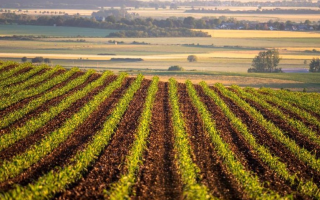 Верховний Суд роз’яснив, коли треба вносити вартість майна на депозитний рахунок суду