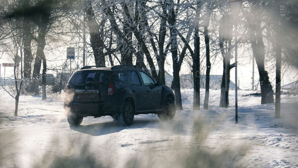 Renault Duster очолив рейтинг: які нові автівки купували українці у 2025 році
