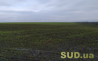 З 1 січня 2026 року запроваджено нову форму податкової декларації з орендної плати за державні сільгоспземлі