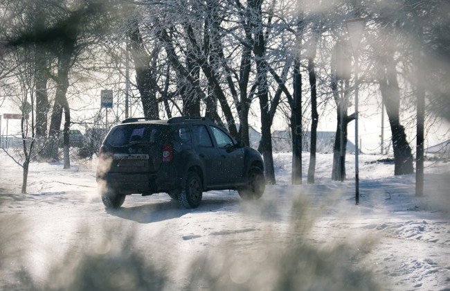 Renault Duster очолив рейтинг: які нові автівки купували українці у 2025 році