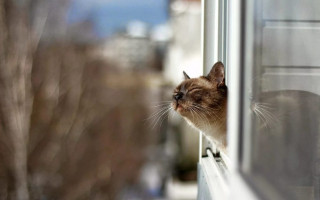 Украинцев еще немного поморозит – когда ожидать потепления