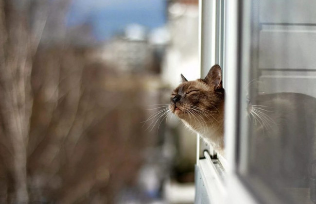 Украинцев еще немного поморозит – когда ожидать потепления