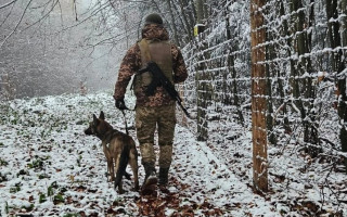 На Буковине водитель внедорожника травмировал пограничника и скрылся – к его поискам привлекли авиацию, БПЛА