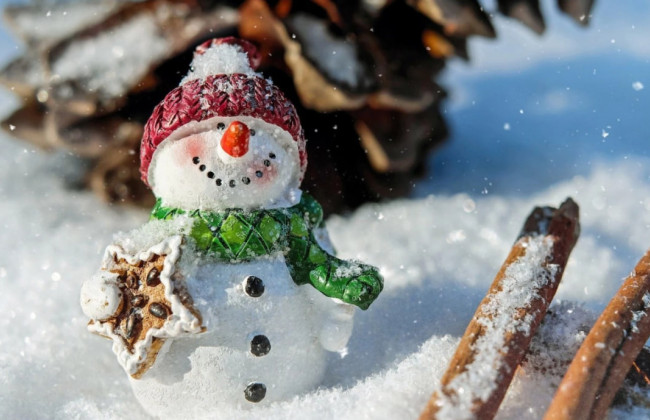 Сніг на заході, морози на півночі та центрі – яка погода буде напочатку тижня