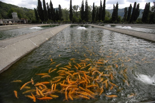 Аукціони та нові робочі місця – Рада готує закон для стимулювання інвестицій у рибне господарство