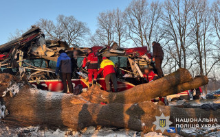 На Львівщині рейсовий автобус Відень-Київ злетів у кювет, є постраждалі