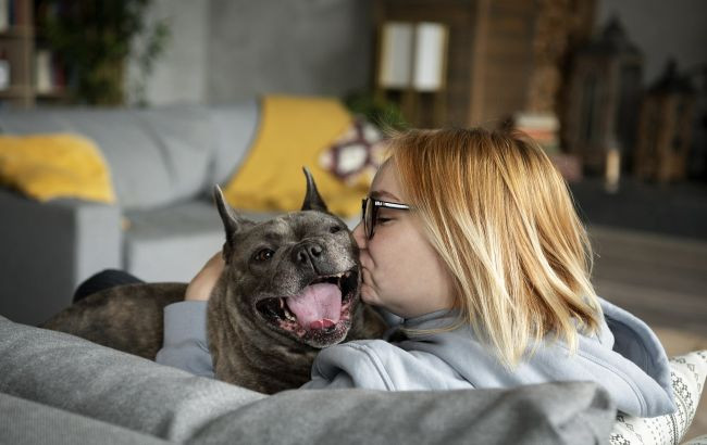 Як допомогти собаці під час обстрілів: поради кінолога