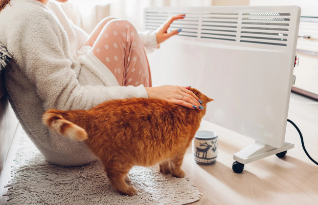 Как сохранить тепло в доме при отсутствии света и отопления — советы