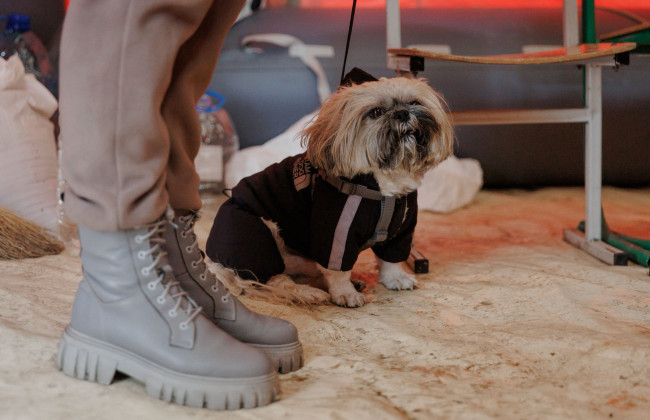 Де зігрітися, зарядити телефони та скористатися інтернетом у Києві – як шукати локацію