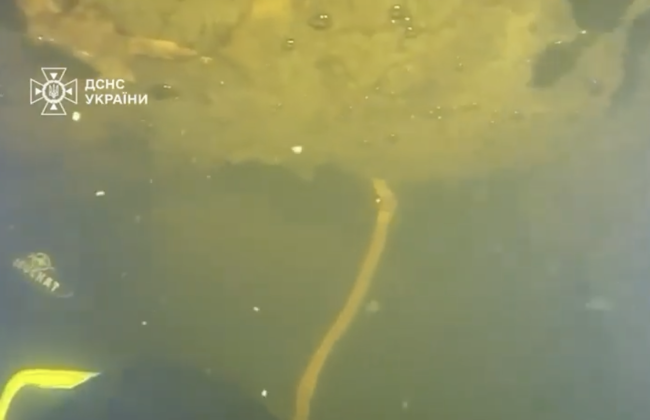 Водолази ДСНС у Києві провели унікальну спецоперацію на ТЕЦ у мороз до –15 °C, – Клименко, відео