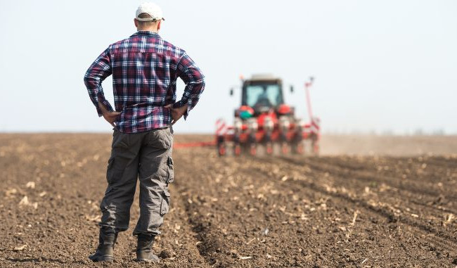 До 4 700 грн/га: Кабмин обновил порядок возмещения убытков агропроизводителей