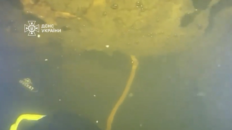 Водолазы ГСЧС в Киеве провели уникальную спецоперацию на ТЭЦ при морозе до –15 °C, – Клименко, видео