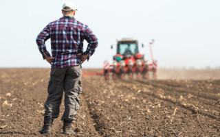 До 4 700 грн/га: Кабмин обновил порядок возмещения убытков агропроизводителей