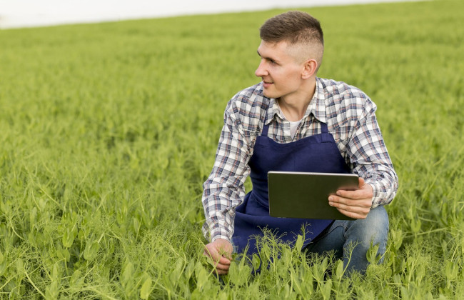 Могут ли аграрии на четвертой группе предоставлять финансовую помощь: что говорит Налоговый кодекс