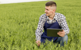 Чи можуть аграрії на четвертій групі надавати фінансову допомогу: що каже Податковий кодекс