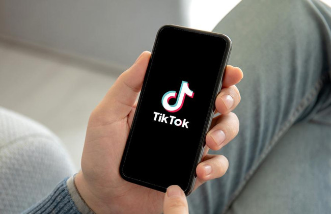 Верховный суд Айовы разрешил иск против TikTok из-за неприемлемого контента для детей