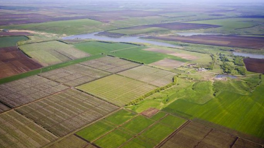 Іноземцям можуть заборонити купувати українську землю під час війни та 15 років після неї