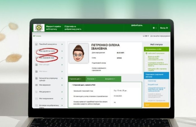 Как просмотреть приобретенный страховой стаж и заработную плату — ответ ПФ
