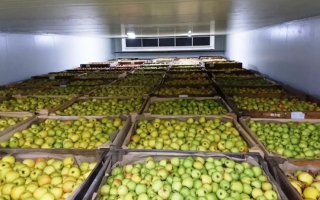 Компенсация до 30% на овоще- и фруктохранилища: как будет работать новая программа для аграриев