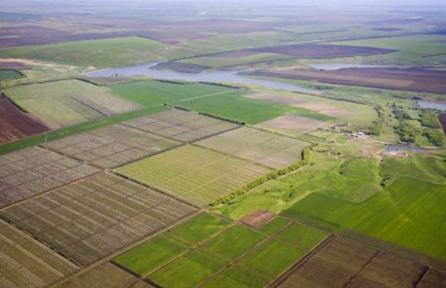 Иностранцам могут запретить приобретение украинской земли во время войны и в течение 15 лет после нее