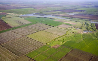 Иностранцам могут запретить приобретение украинской земли во время войны и в течение 15 лет после нее