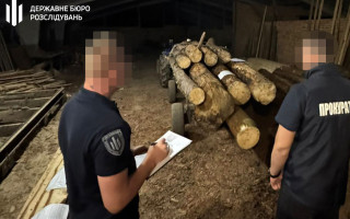 Збитки державі —  майже мільйон: на Рівненщині судитимуть трьох осіб за незаконну вирубку лісу