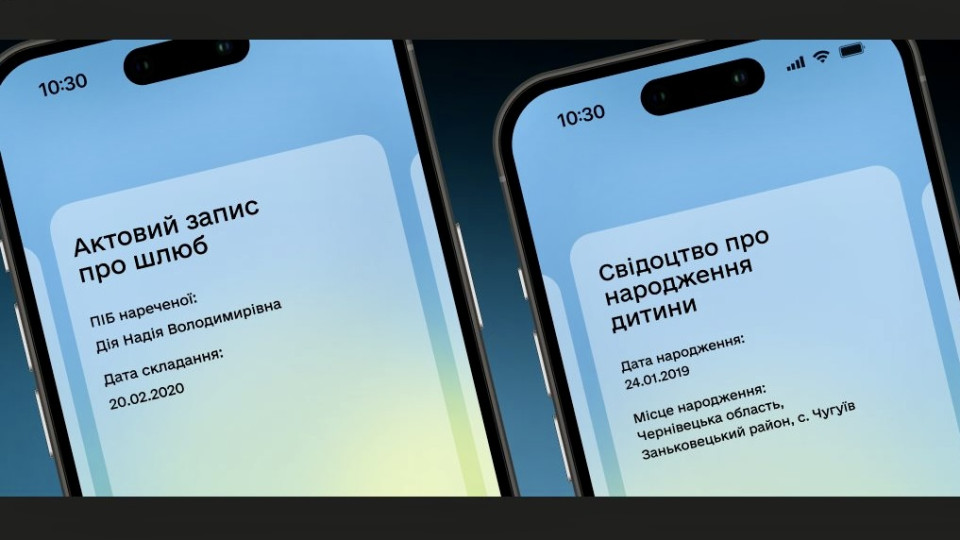 Что делать, если свидетельство не отображается в Дии: как это исправить