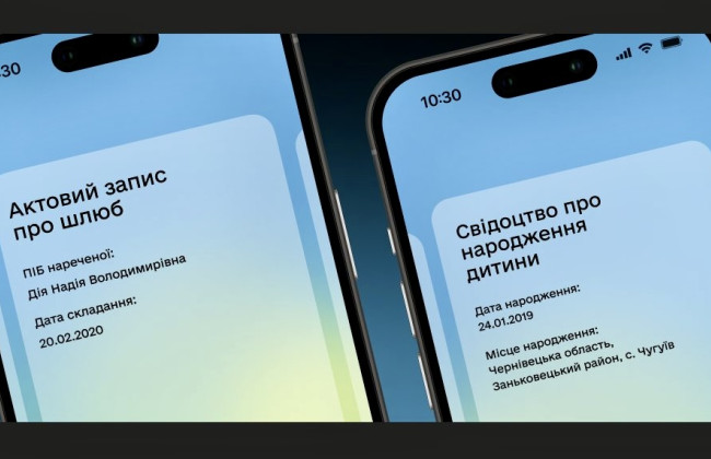Что делать, если свидетельство не отображается в Дии: как это исправить