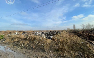 В Киеве прокуратура просит через суд обязать КГГА убрать свалку