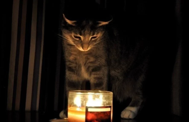 Отключения электроэнергии в Киевской области 31 января: обнародованы актуальные графики