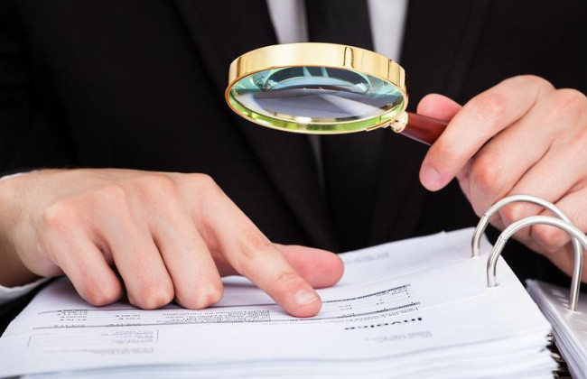 Проверки бизнеса по-европейски: Раде рекомендуют принять законопроект по реформе государственного контроля