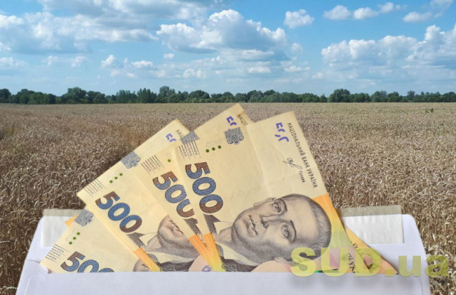 Позивачі отримували орендну плату, але вимагали повернути землю – що вирішив суд