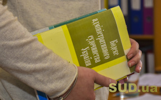 КАСУ дополнят специальными нормами для обращений в суд органов государственного надзора