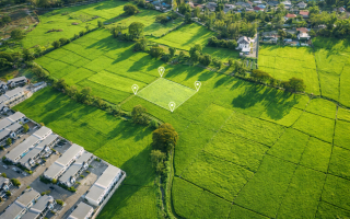 Як законно передати право оренди землі іншій особі: у Мін’юсті роз’яснили умови відчуження