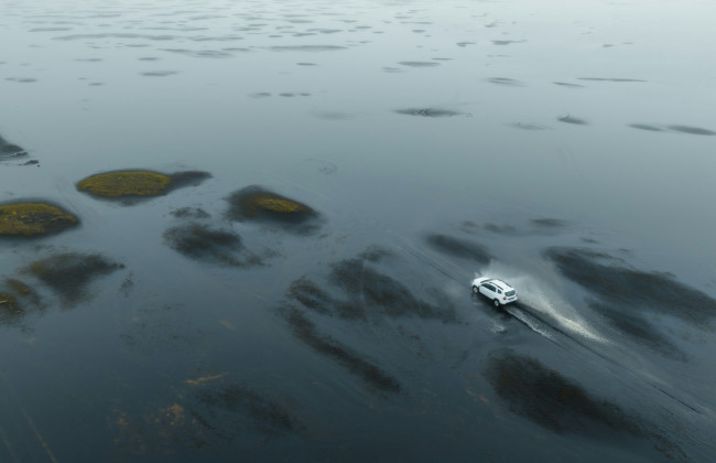 В январе в Украине выросла доля электромобилей, бензиновые — сохраняют лидерство