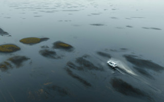 В январе в Украине выросла доля электромобилей, бензиновые — сохраняют лидерство