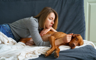 Суд признал оправданным пропуск работы из-за ухода за умирающей собакой