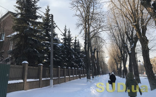 Потепління ненадовго: коли в Україну знову повернуться морози