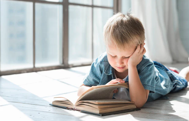 єКнига для немовлят, електронний облік фондів та евакуація музейних цінностей: які зміни пропонують для культури