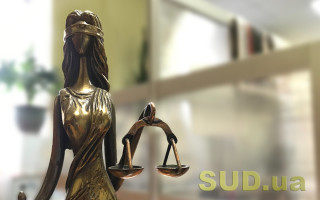 Женщина хотела отменить усыновление двух детей ее бывшим мужем — что решил суд