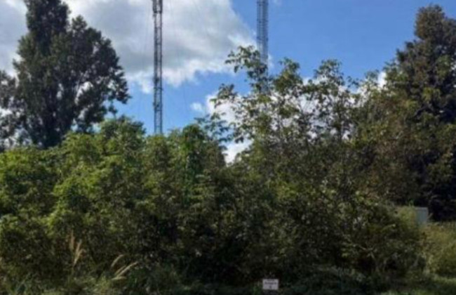 У Києві судитимуть державну реєстраторку за шахрайство із землею вартістю 1,5 млн гривень