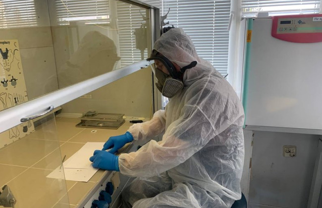 МВД проверит ДНК-экспертизы, проведенные одним методом, после случая с Назаром Далецким