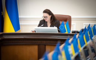 Кабмин не будет подавать законопроект о введении НДС для ФОП в феврале — Свириденко